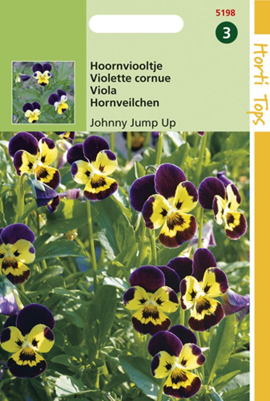 Hoornviooltje Johnny Jump Up (Viola cornuta) 500 zaden HT